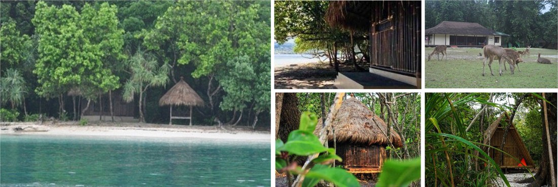 Peucang Island